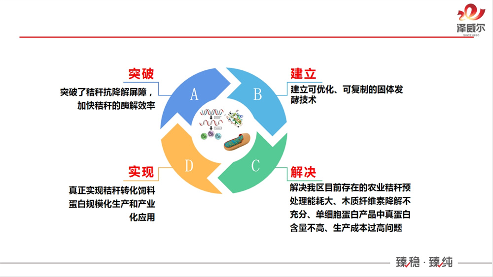 南方草食動(dòng)物產(chǎn)業(yè)創(chuàng)新聯(lián)盟成立大會(huì) (1)